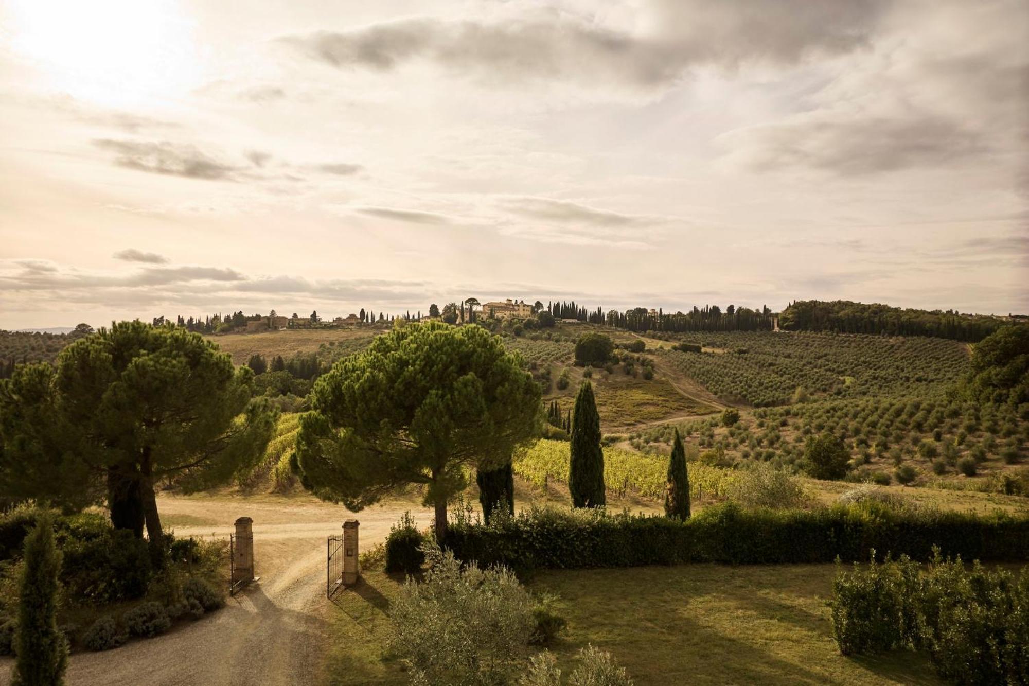 Castello Del Nero - Podere San Filippo Tavarnelle Val di Pesa Kültér fotó